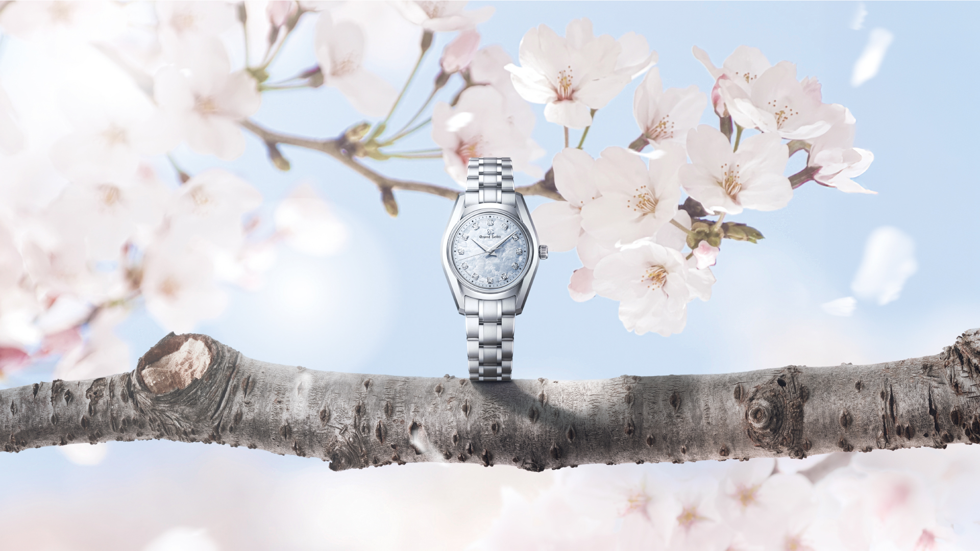 グランドセイコーSTGF389